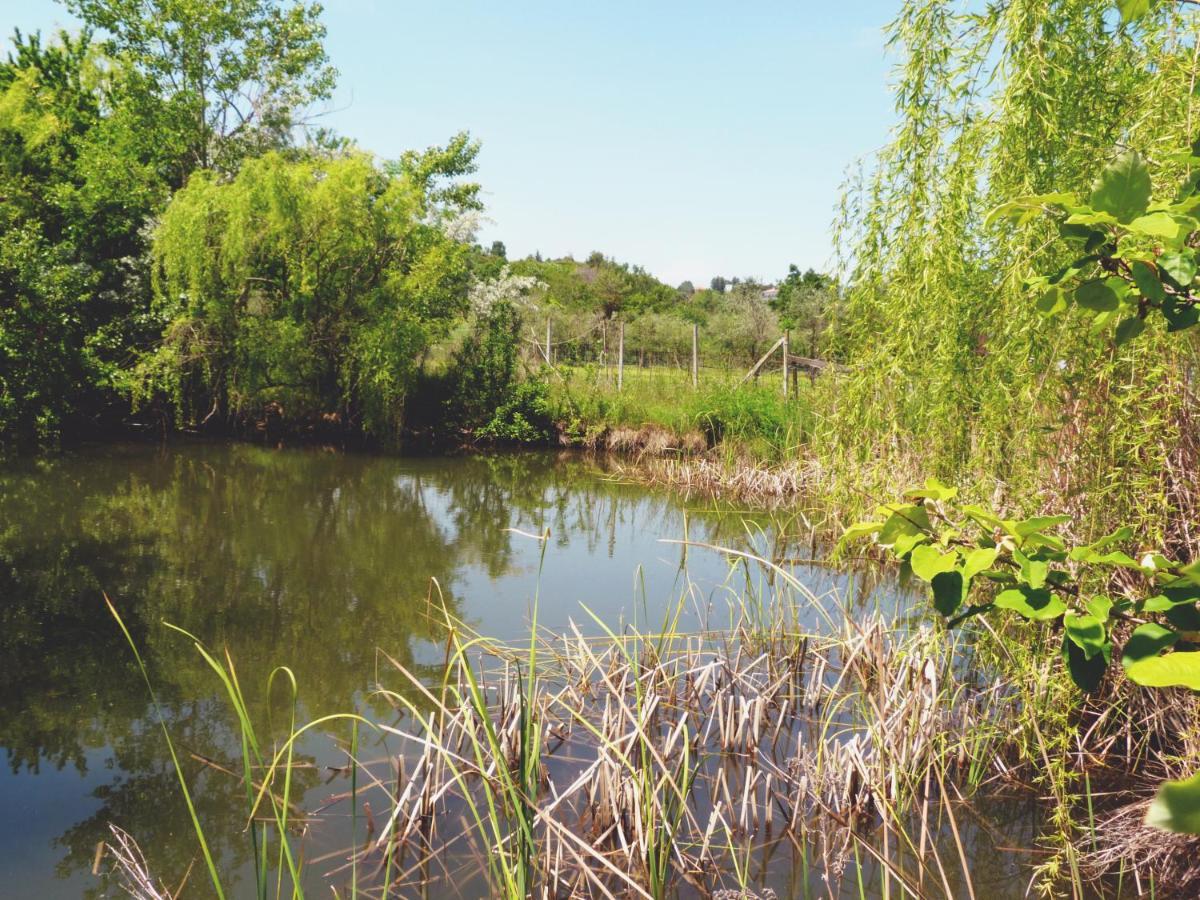 Vila Pian Del Pigro Rimini Exteriér fotografie